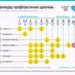 Чому в аптеках і приватних клініках може не бути вакцин та де зробити щеплення безоплатно