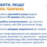 Як війна підвищує ризики зараження сказом — що можна зробити